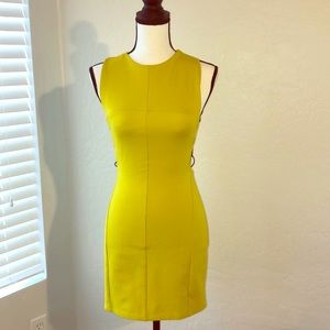 Silence + Noise dress